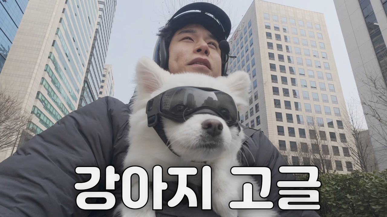 강아지 데리고 오토바이 타봤다
