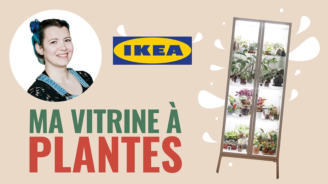 Ma Vitrine Ikea Milsbo à plantes 🪴 ! Sans câbles visibles 🔌😍