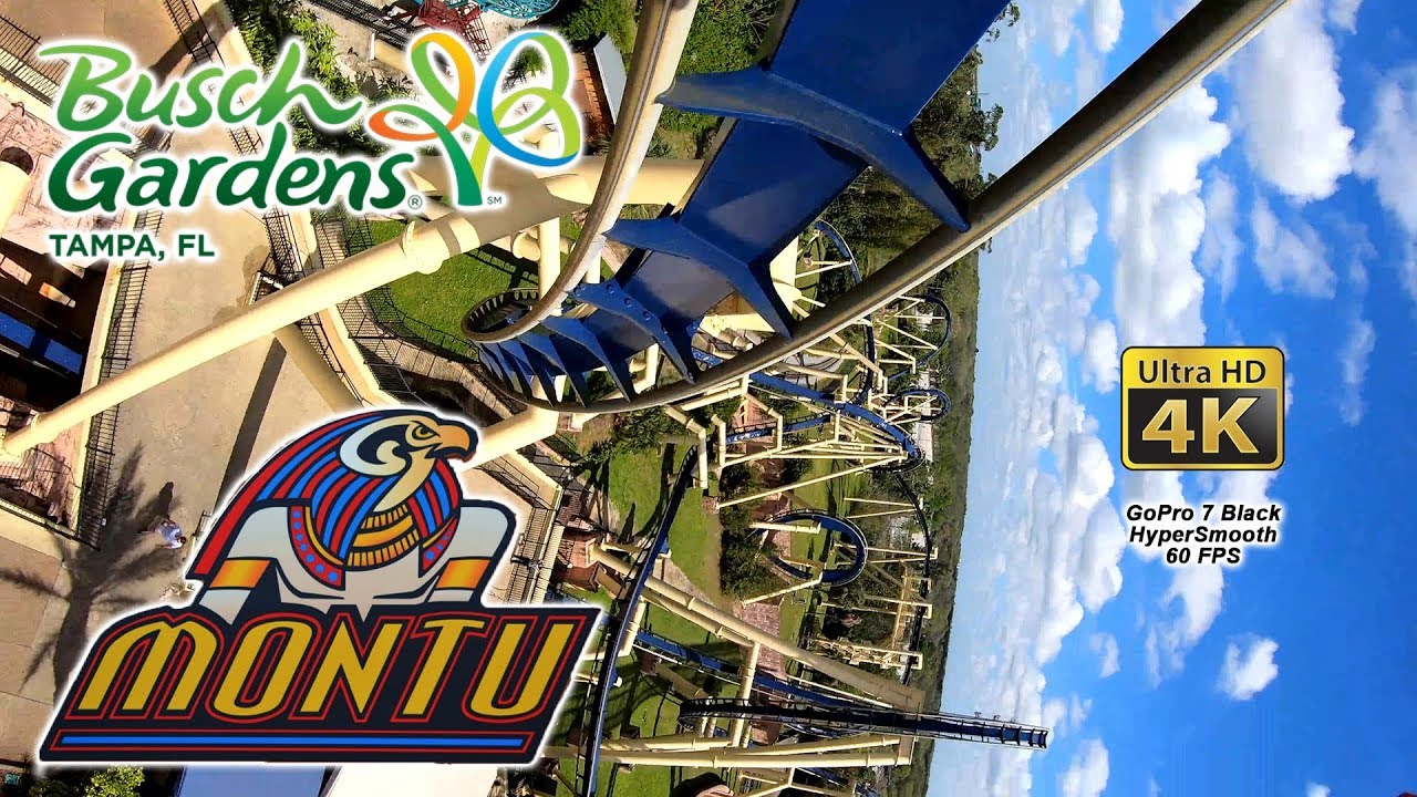 2019 Montu Roller Coaster Front and Back Seat 4K UltraHD On Ride POV Busch Gardens Tampa HyperSmooth