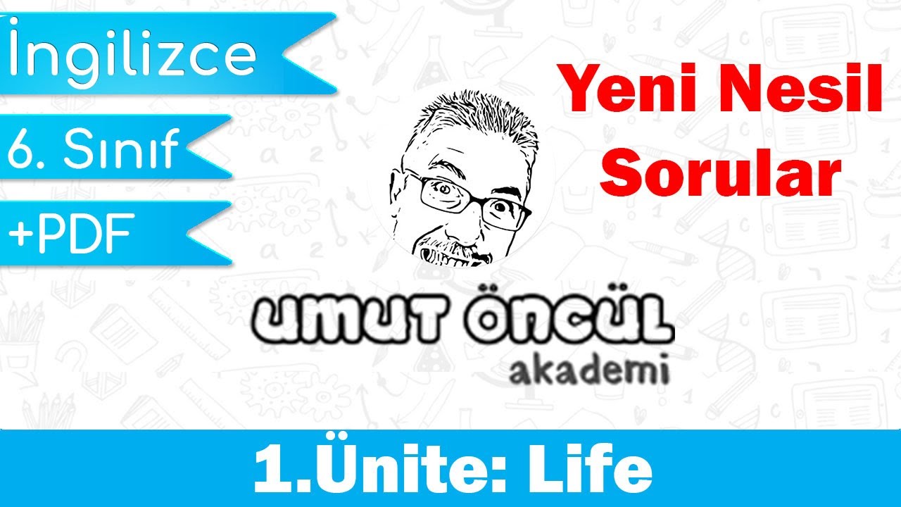 İngilizce | 6.Sınıf | 1.Ünite | Life | Yeni Nesil Sorular