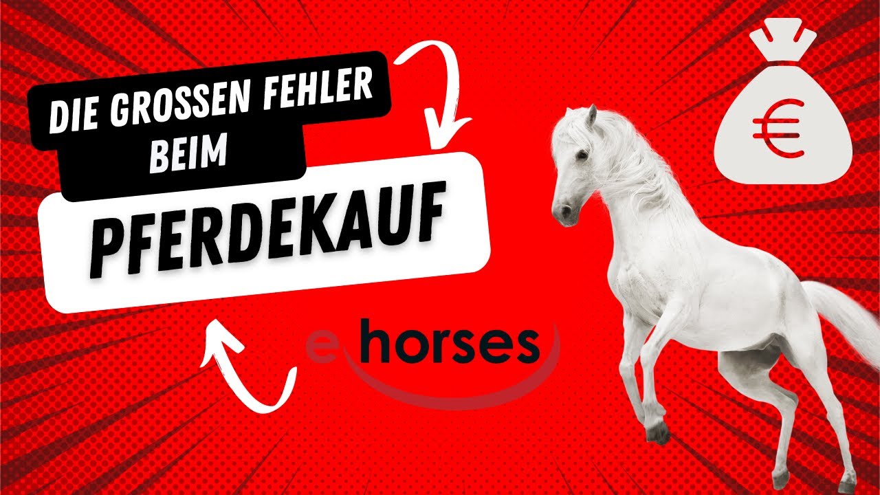 Die 7 gro&szlig;en Fehler beim Pferdekauf - Darauf solltest du achten! Team ehorses Tipps & Tricks