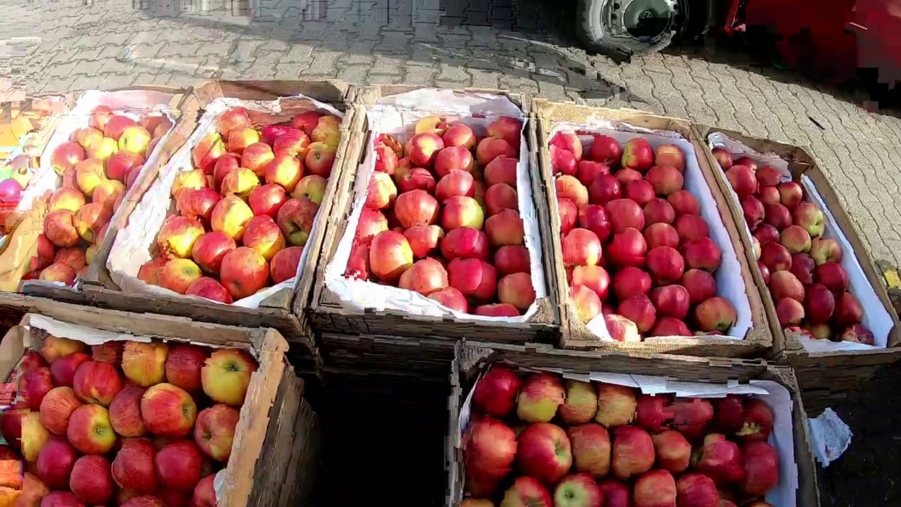 Bronisze 25.02.2021 - Ciepła aura nie poprawia handlu