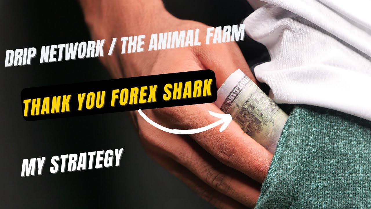 DRIP NETWORK 1% DAILY / THE ANIMAL FARM / DRIP GARDEN 3% DAILY, MY STRATEGY