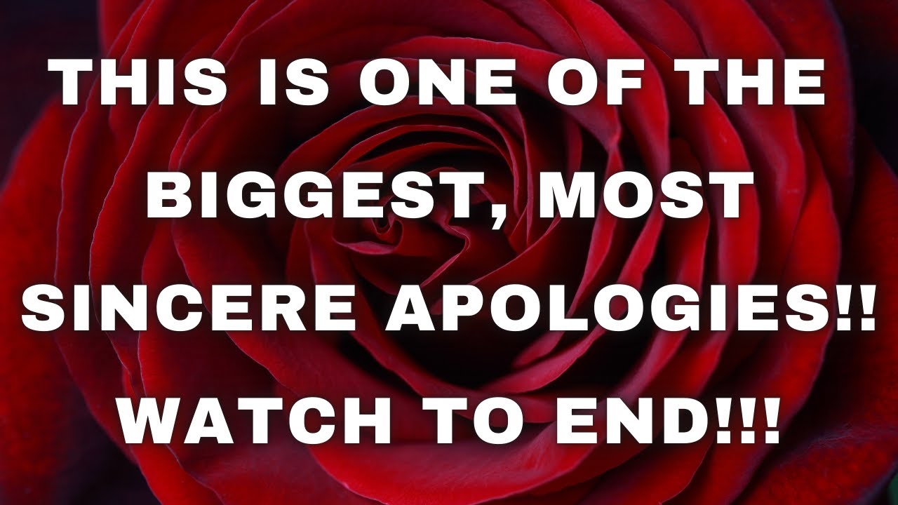 LOVE TAROT TODAY- ONE OF THE BIGGEST, MOST SINCERE APOLOGIES!! WATCH TO END!! 😲💗
