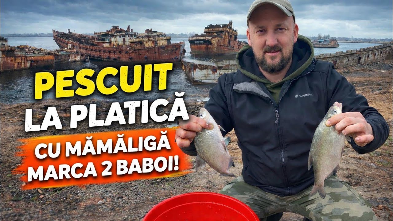 PESCUIT LA PLATICA INTRE VAPOARE PARASITE🐟🛳
