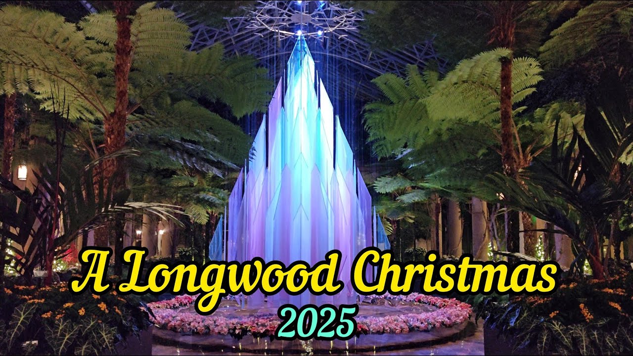 A Longwood Christmas 2025 Conservatory Walkthrough Tour (2025) | No Talking