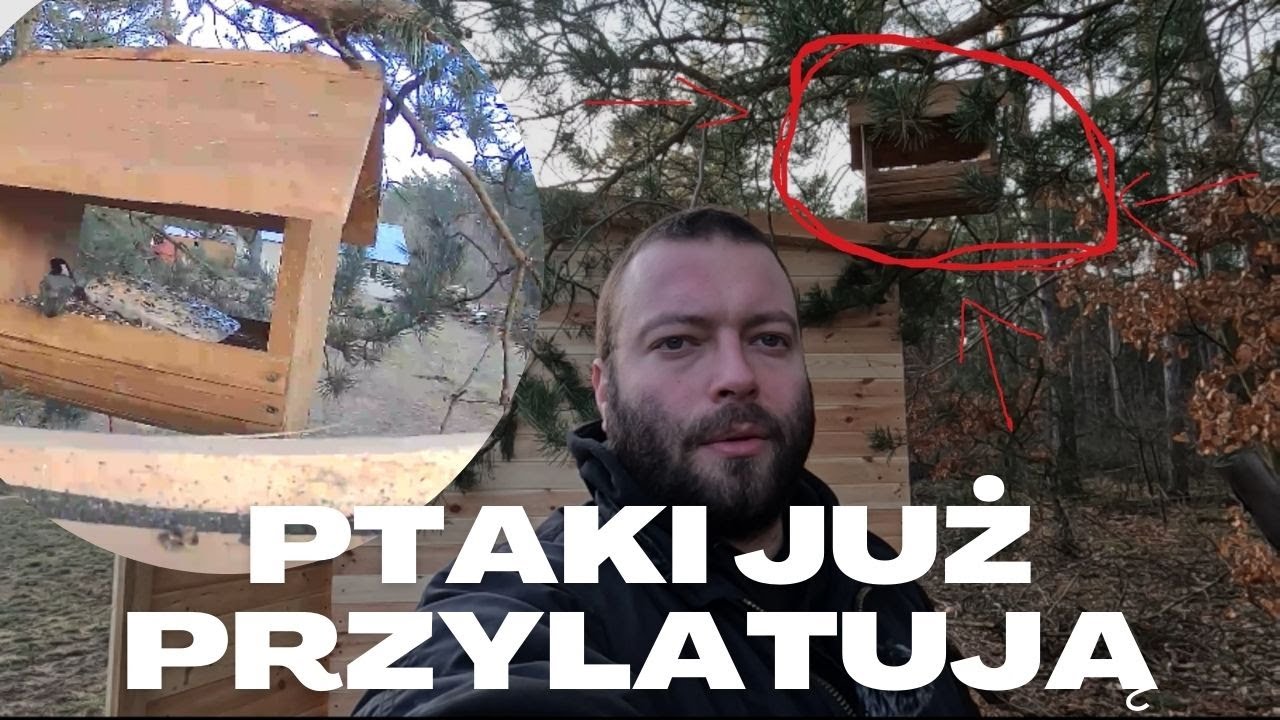 Nowy karmnik z kamerą
