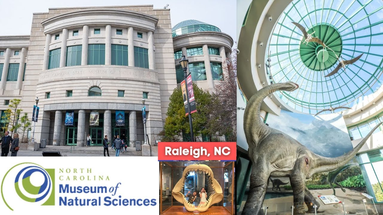 North Carolina Museum of Natural Sciences | NCMNS | NC's Oldest Established Museum | Raleigh, NC