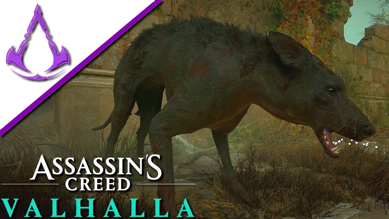 Assassin&rsquo;s Creed Valhalla #071 - Schwarzer Scucca - Let's Play Deutsch
