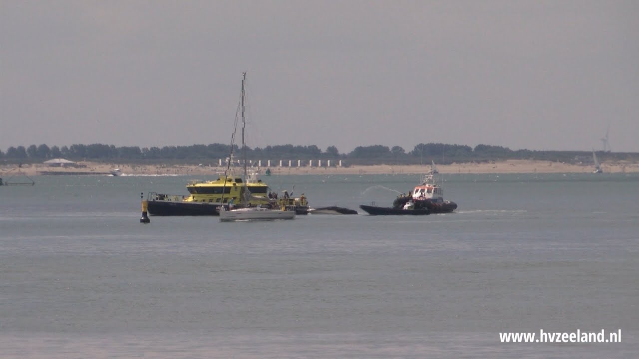 Jacht uitgebrand op Westerschelde, opvarenden gered