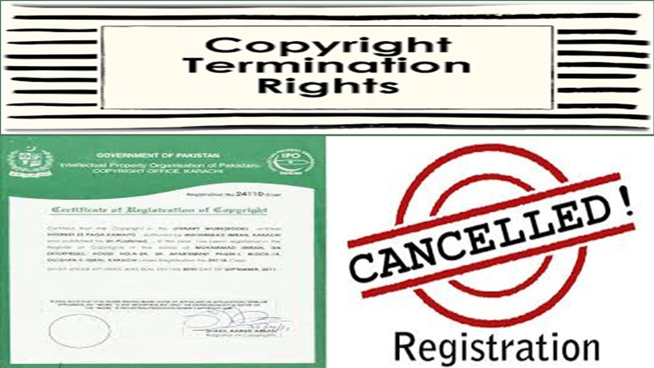 Copyright Infringement, Cancellation and Invalidation Process