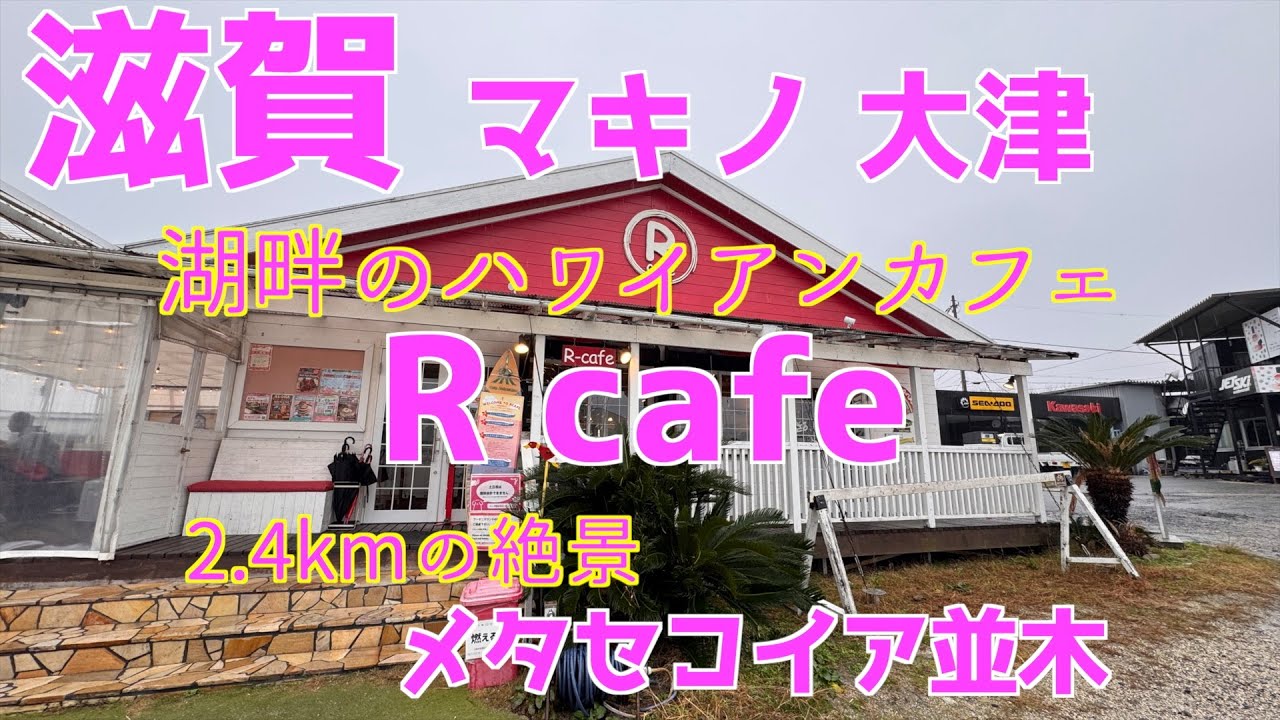 【琵琶湖のハワイアンカフェ】メタセコイア並木とわんこに優しいハワイアンカフェ行ってきた #奥琵琶湖 #Rcafe #メタセコイア並木 #ハワイアンカフェ #滋賀 #マキノ #大津