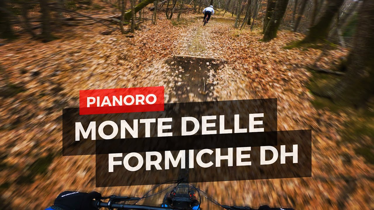 Monte delle formiche DH, bike park nel bosco | Pianoro | MTB Bologna [4K]