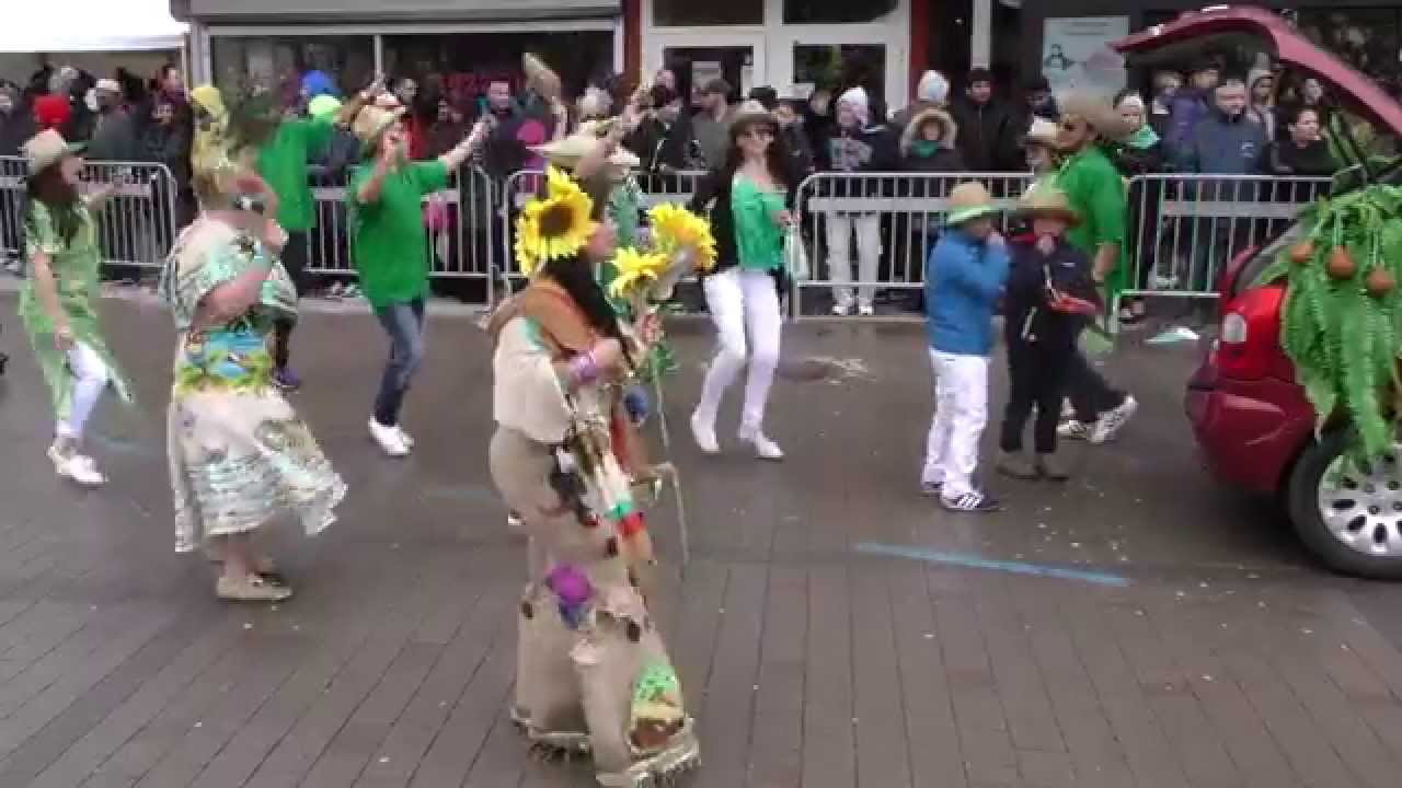 Karnevalståget  – 2015 Hammarkullekarnevalen