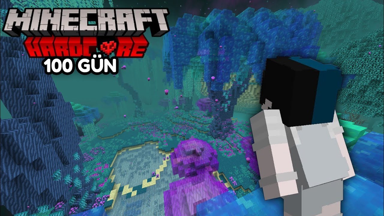 Minecraft'ın EN ZOR End Dünyasında 100 Gün Hayatta Kaldım