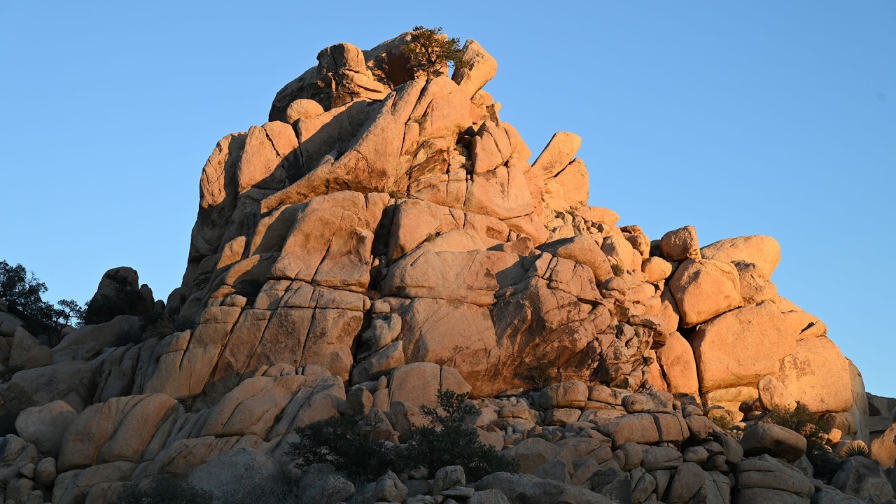 USA 2026 - Von Monterey zum Joshua Tree Nationalpark