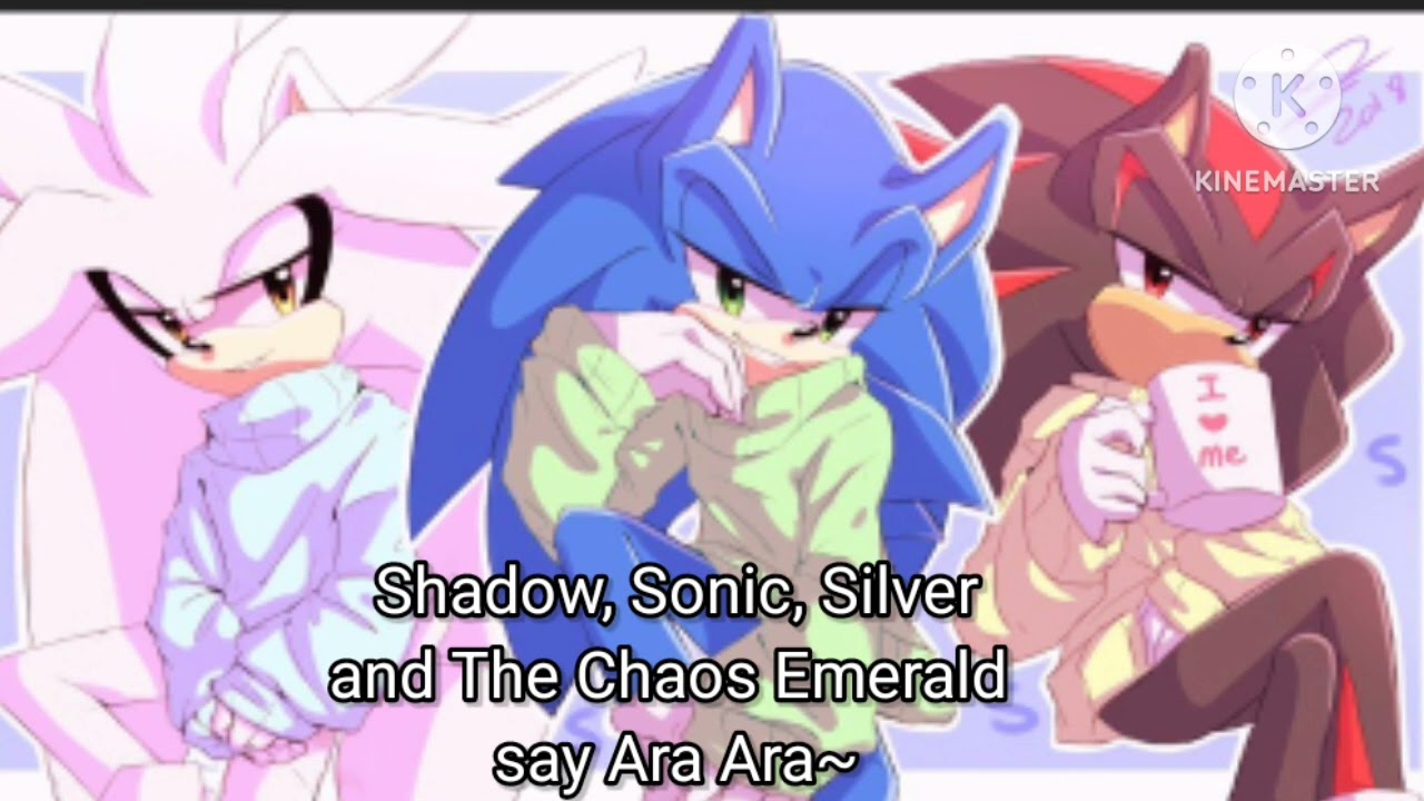 Shadow, Sonic, Silver and The Chaos Emerald say Ara Ara~