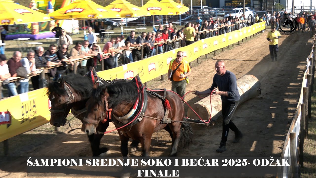 - SULEJMAN HADŽIĆ NOVI ŠAMPION SREDNJIH PAROVA U ODŽAKU -