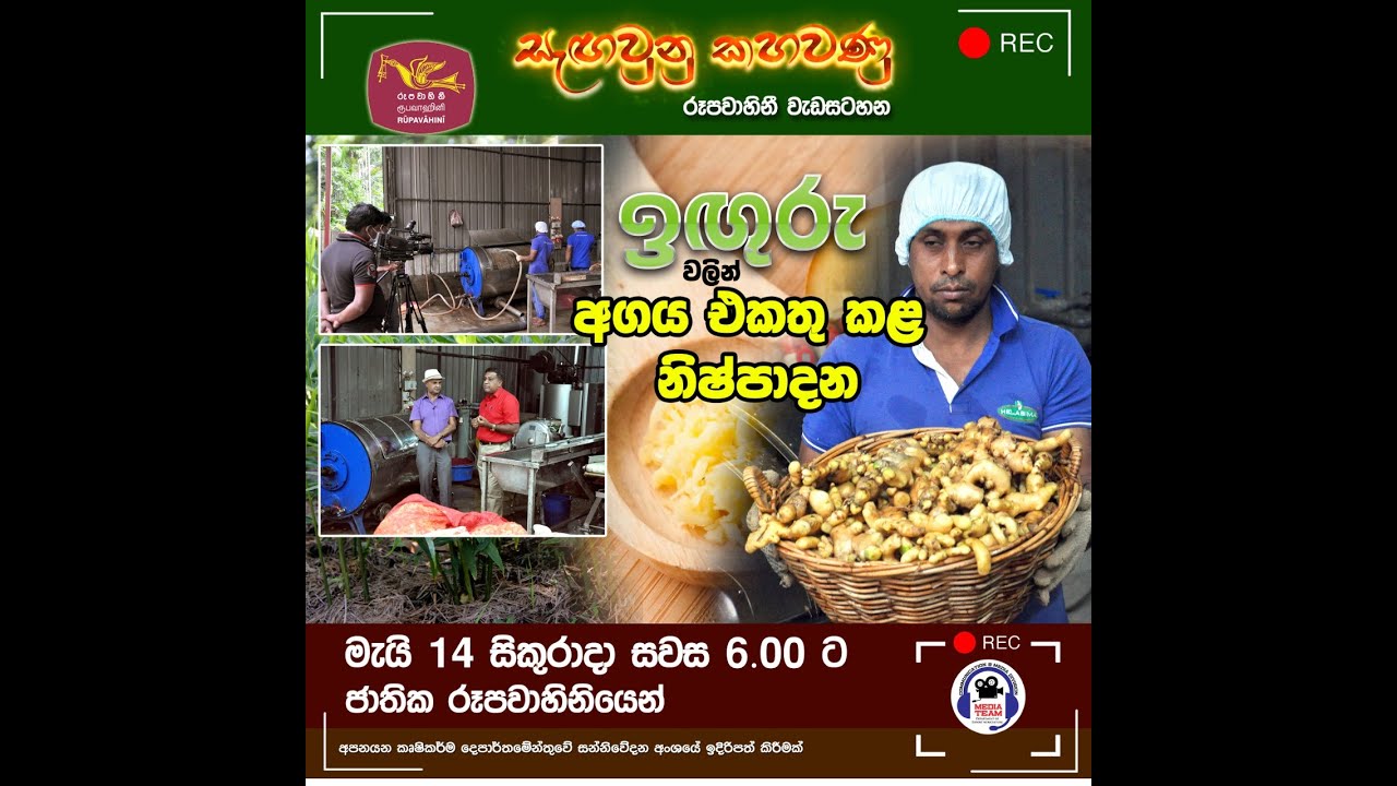 ඉඟුරු වලින් අගය එකතුකළ නිෂ්පාදන