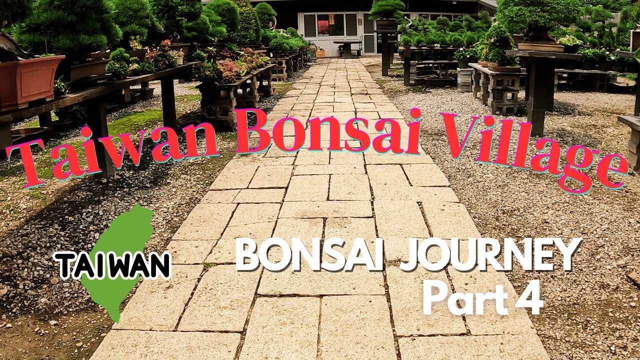 Bonsai Journey (Part 4) - Taiwan Bonsai Village