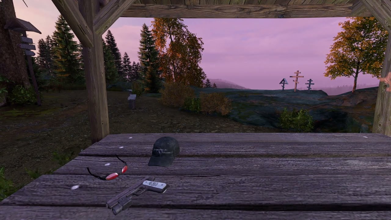 20 minutes of Relax / Calming / Nature DayZ