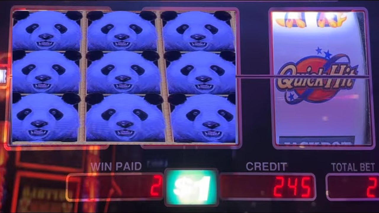 Panda Magic Started Strong… Can Quick Hits Hold the Line?