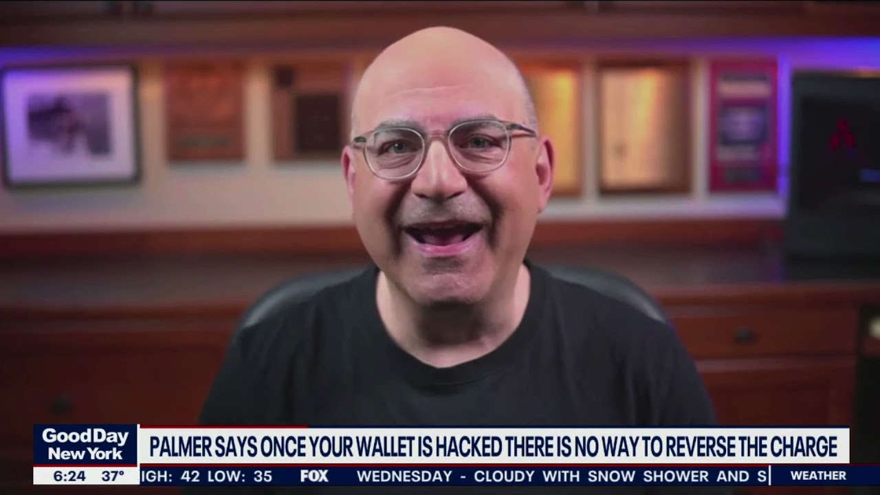 My MetaMask ETH Wallet Was Hacked | Shelly Palmer on Fox 5