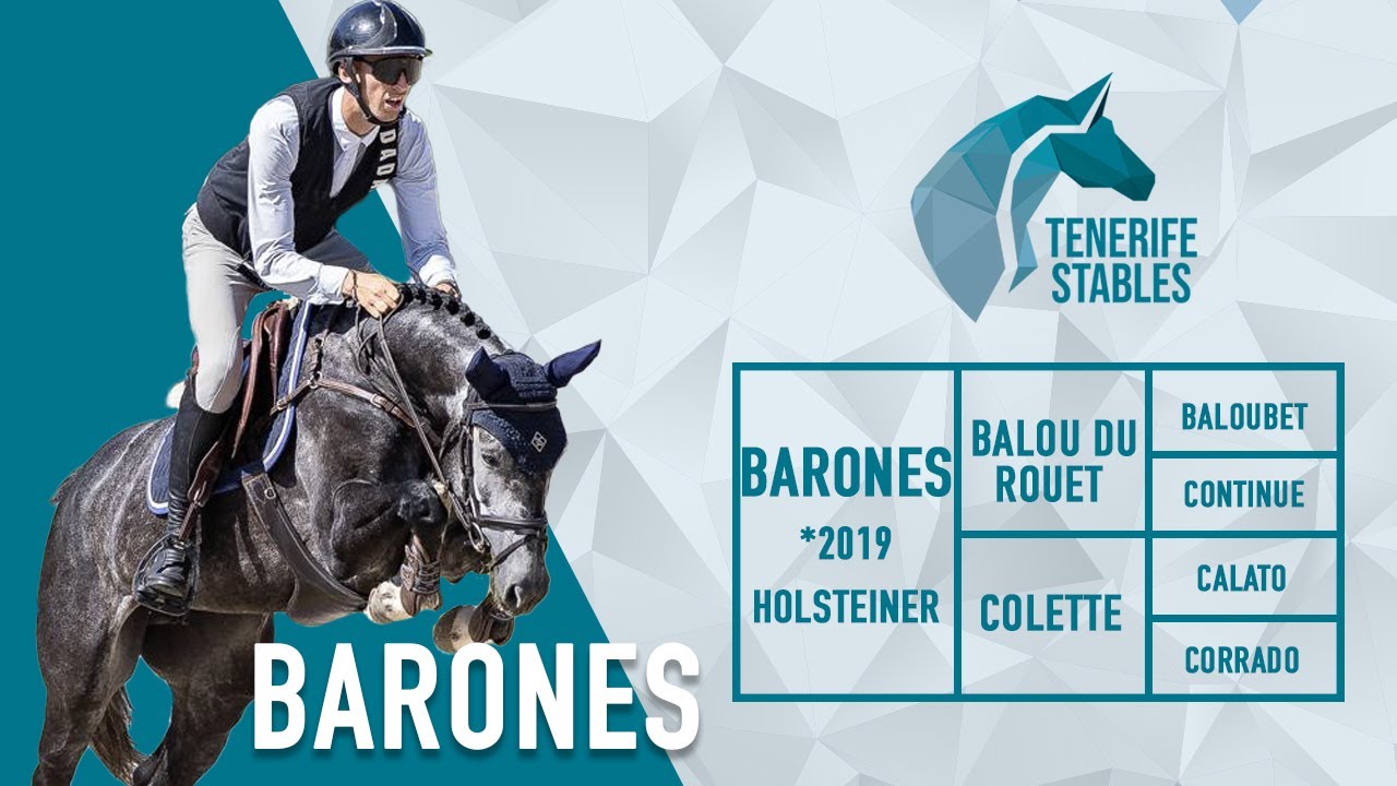Barones, 2019 Holsteiner by Balou x Calato, top jumper