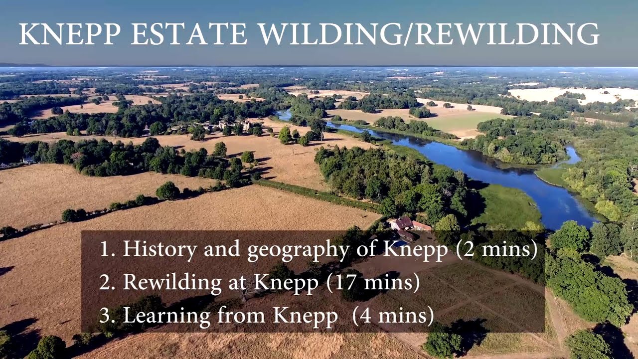 Knepp Rewilding