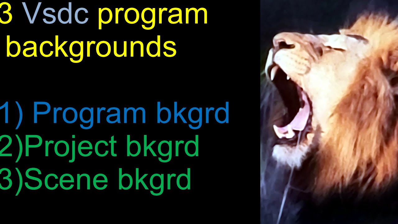 The 3 Backgrounds in VSDC- LW&C with VSDC