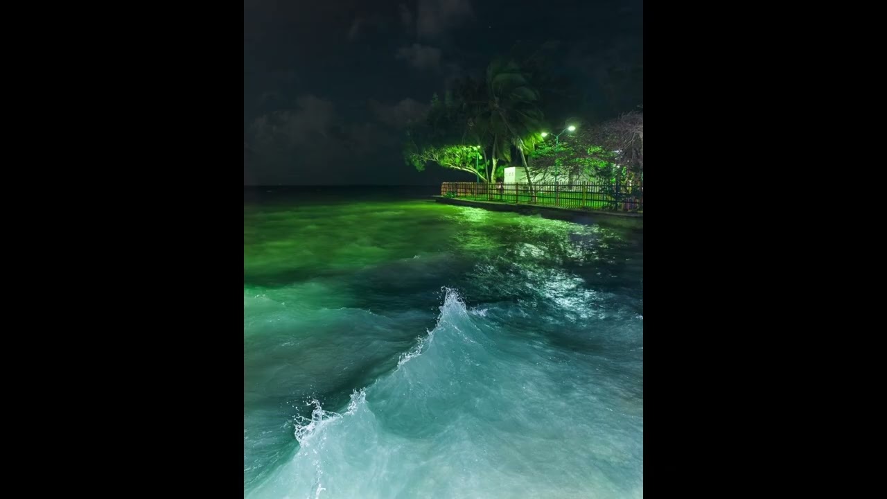 [FREE] Wavy
