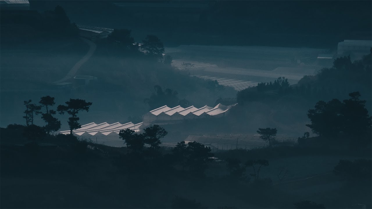 DALAT CINEMATIC - 4K60FPS 10BIT HANDHELD | Đà Lạt EP01