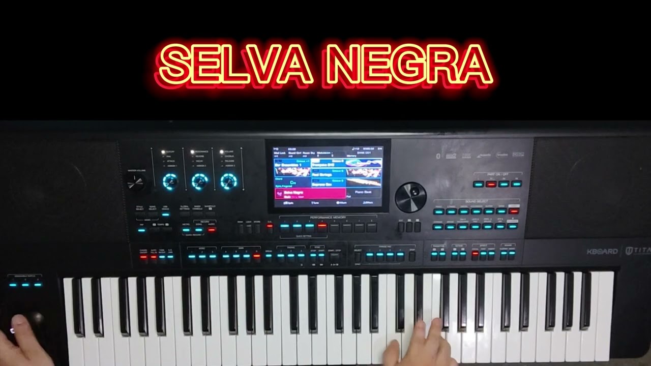 SELVA NEGRA - KBOARD TITAN, MEDELI AKX10