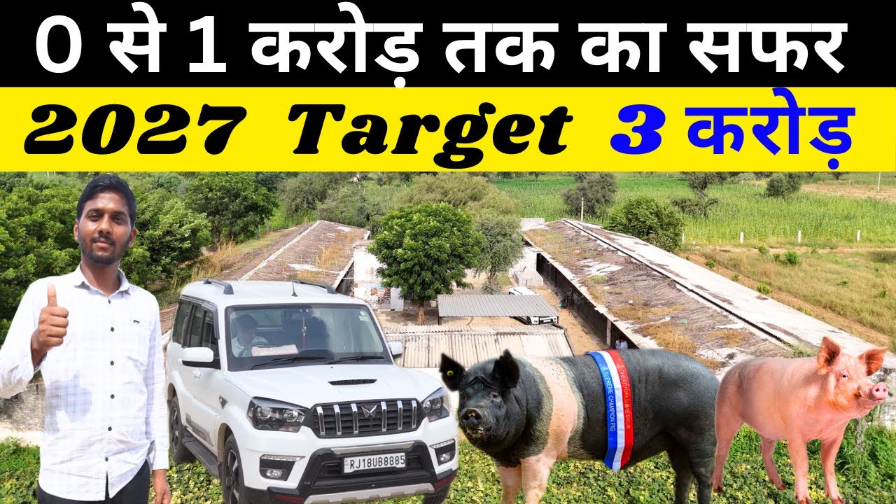 26 साल की उम्र में पिग फार्म से लाखो कमाता हूँ.II Pig Farming Business II Pig Farming II Pig