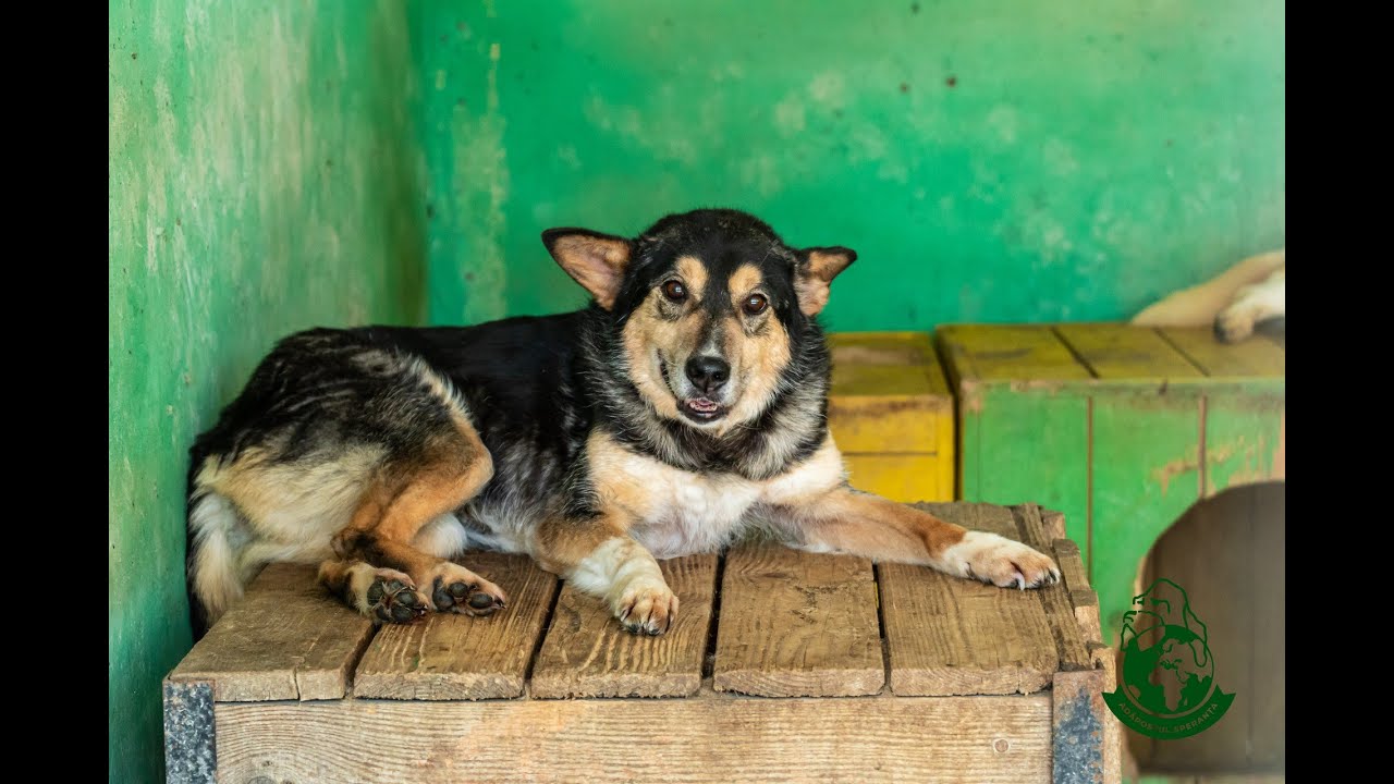 Kuki
