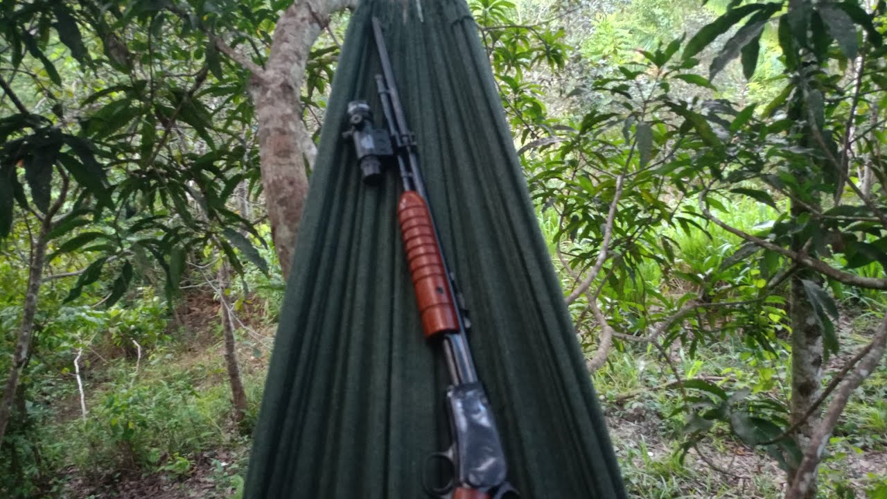 ESPERA BOA DE PACA / SURPRESA