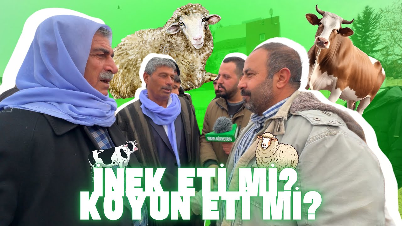 Viranşehir hayvan pazarında soru sorduk (İnek eti mi? Koyun eti mi?)
