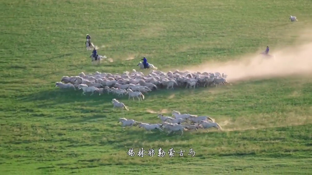 Beautiful scenery 锡林郭勒大草原 Xilingol Grassland