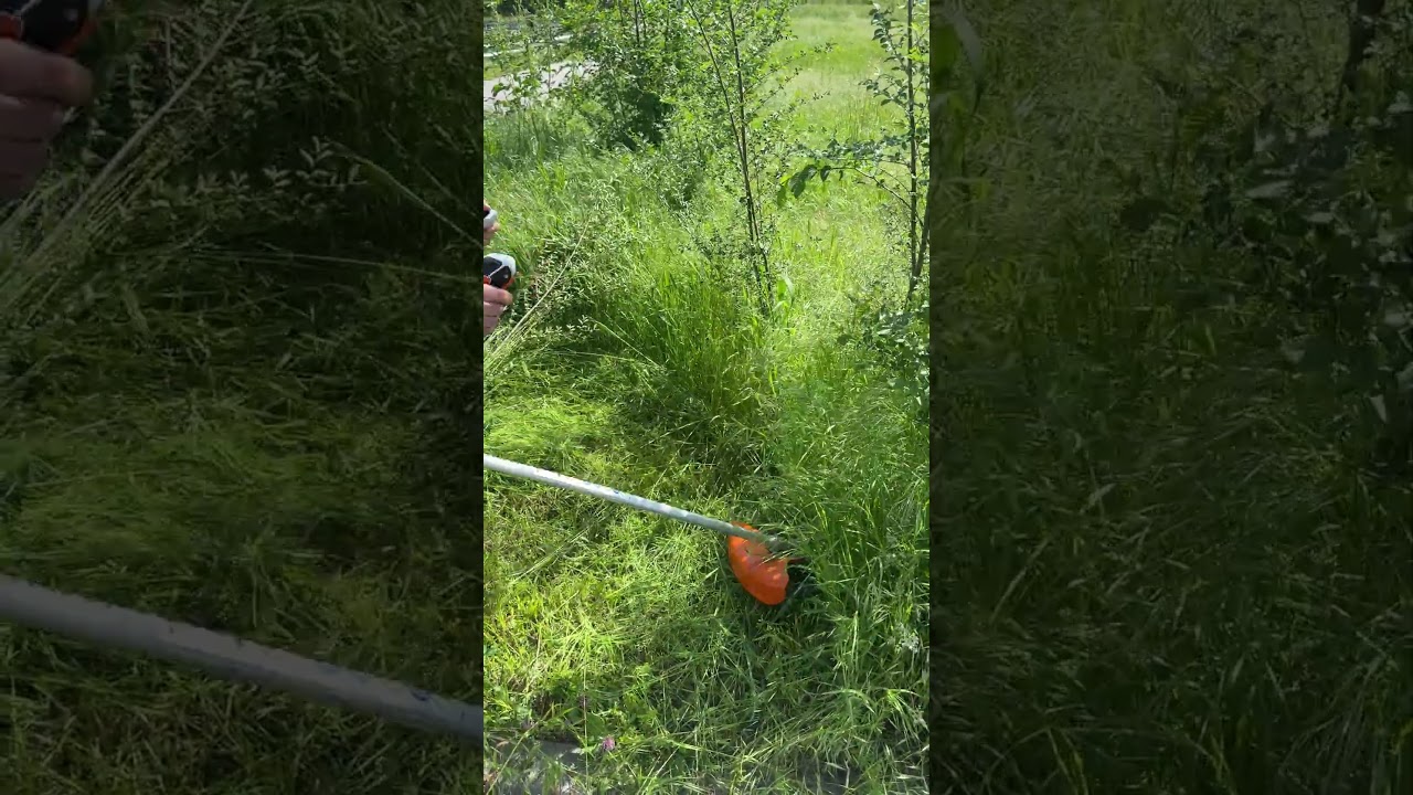 Lama a tre denti per erbacce e arbusti