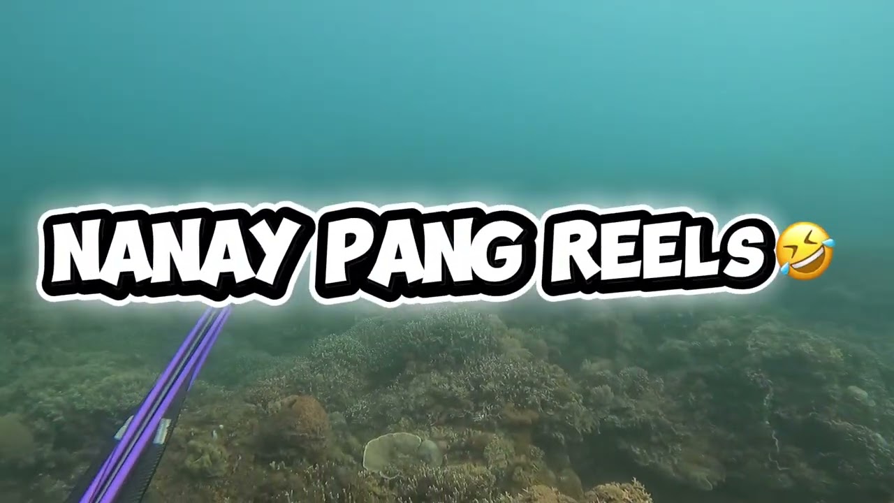 Weekend spearfishing adventure (feb 2026)