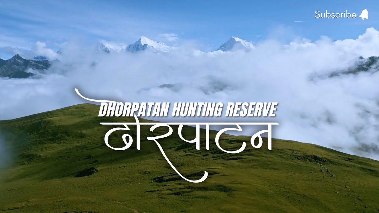 DHORPATAN TREK DURING MONSOON | BUKIPATAN | 4190M | 4K