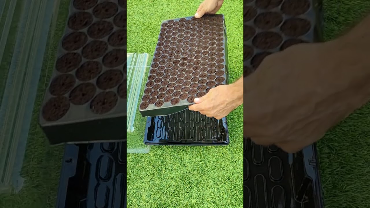 Propagador blanco de ProClone