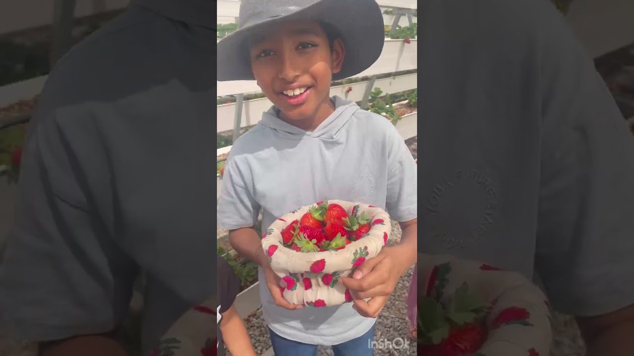 Strawberry garden @ Barka , oman