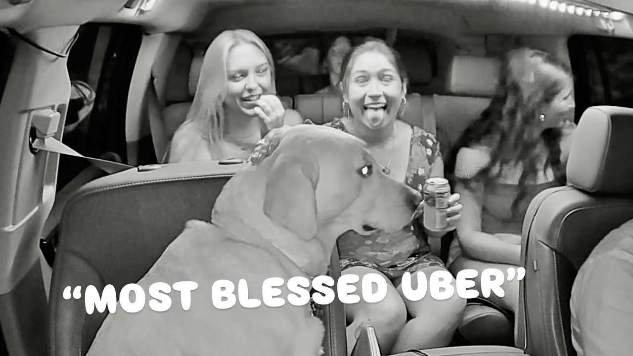 THE UBER DOG SURPRISES PASSENGERS!
