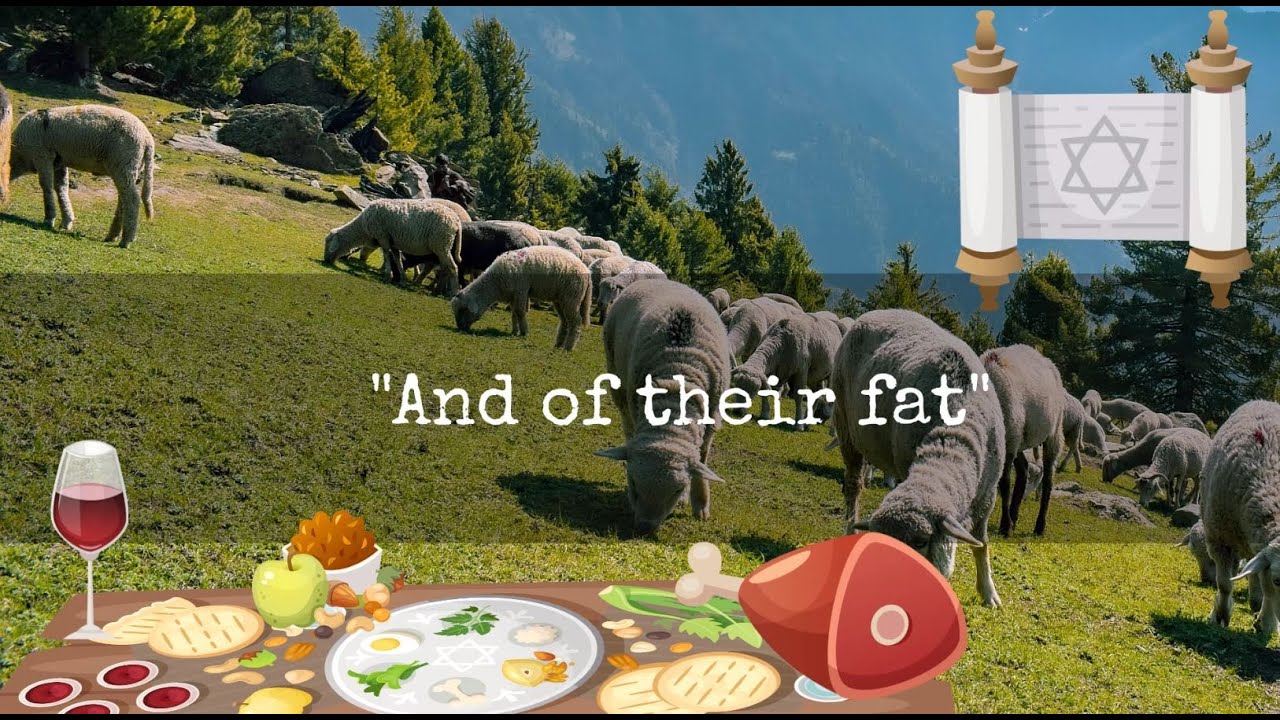 Genesis 1:29,30: Did animals suffer before the fall of Adam and Eve? Part 3 (updated)