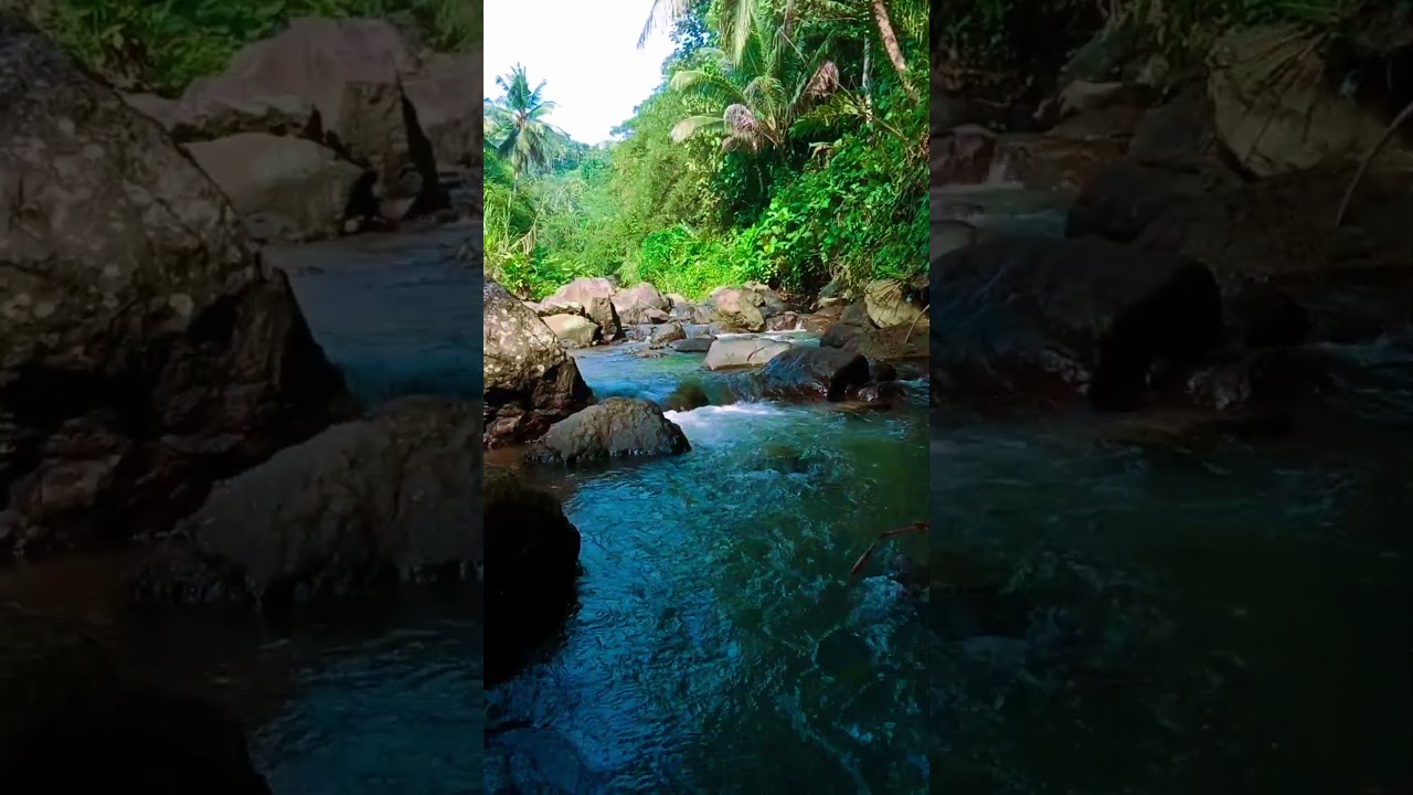 River Flow, a Pleasant Forest for Relaxation 
