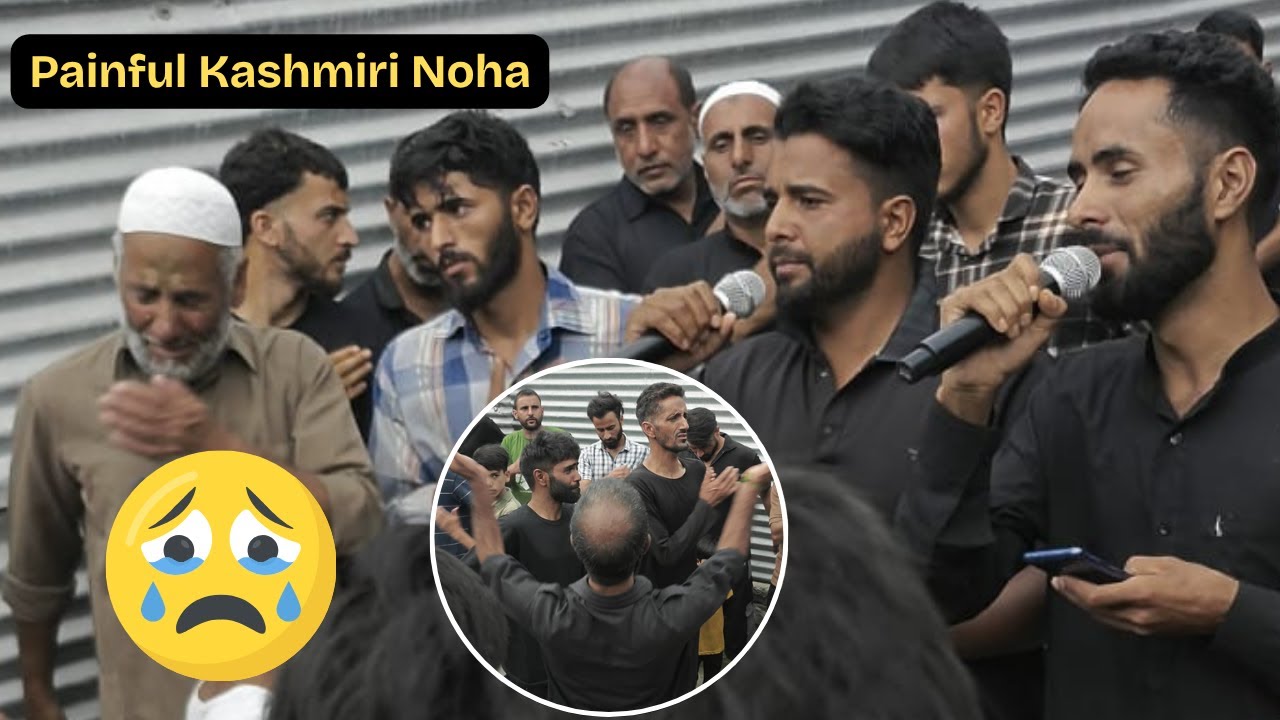 Waan travan Jinab e Zainab(s.a) | Painful Noha | Muharram 2025