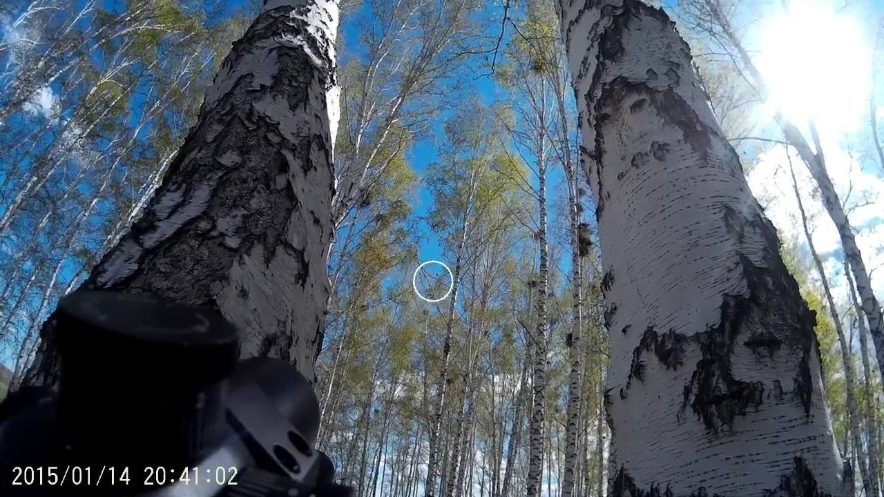 Охота с пневматикой. RAR VL-12