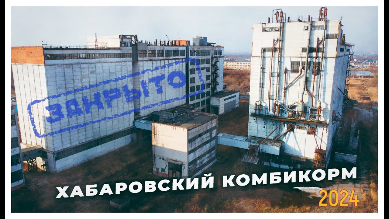 Хабаровский комбикормовый завод | Предательство своего завода | 2024
