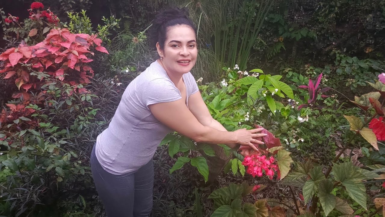 LES  MUESTRO LO QUE  PRODUCE LA FINCA